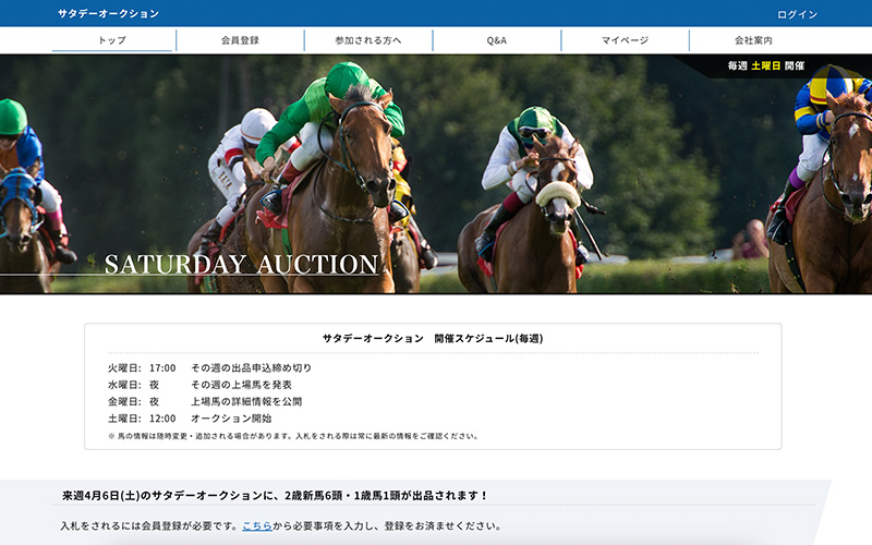 国内２社目となる現役競走馬のオークションサイトを構築。会員数は３ヶ月で４倍に成長し、直近の入札会でも最高値を更新